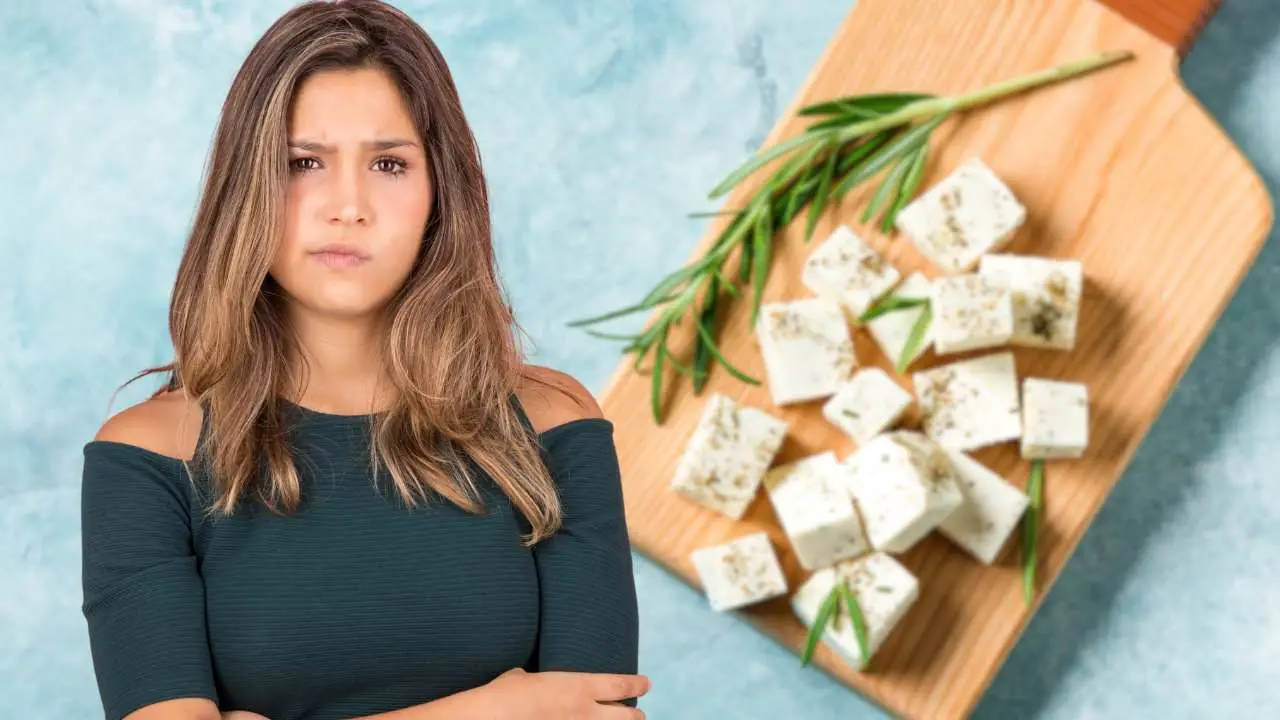 Quali sono i formaggi più magri e con meno colesterolo? La guida per sceglierli al supermercato