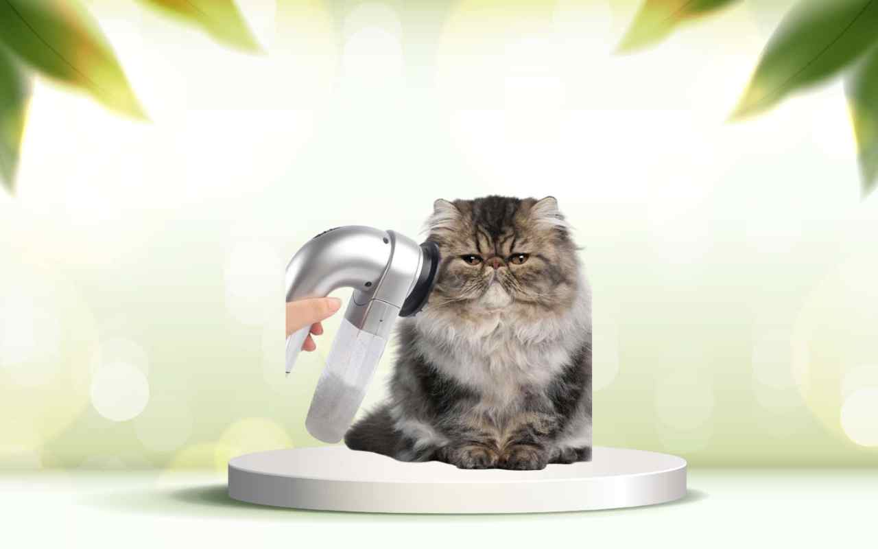 Prova subito SpazzolAmica: elimina i peli degli animali e migliora la tua casa