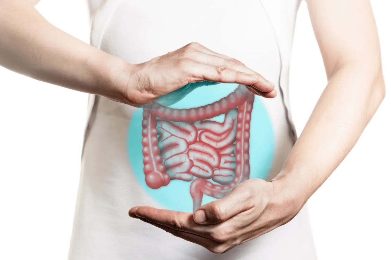 Quali sono i migliori probiotici per l’intestino? Come scegliere quello giusto per te